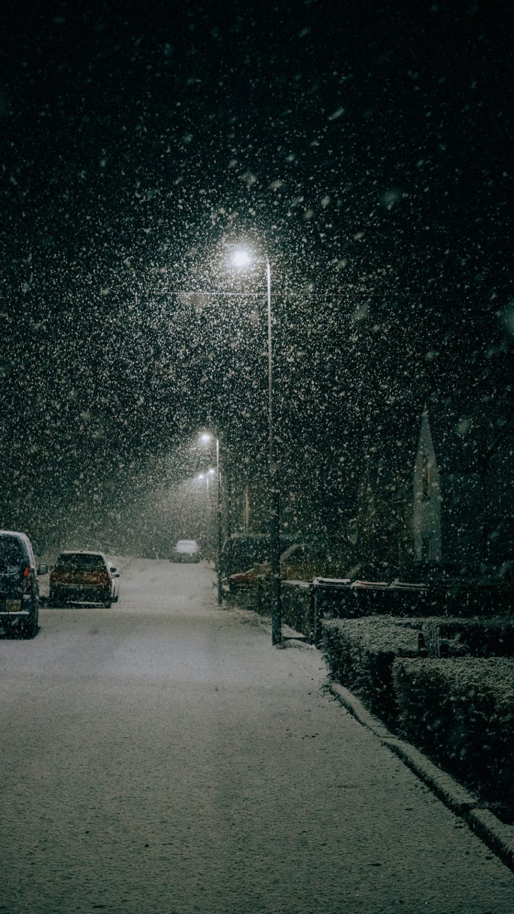 Instagram post from betweenthedots. This post is in position 1.